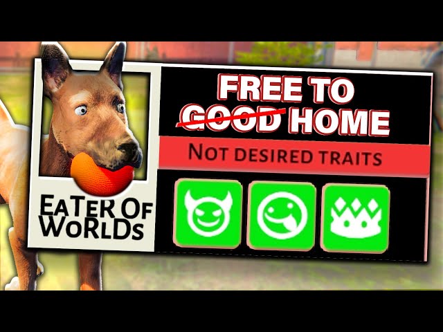 Animal Shelter Simulator but my shelter should be illegal