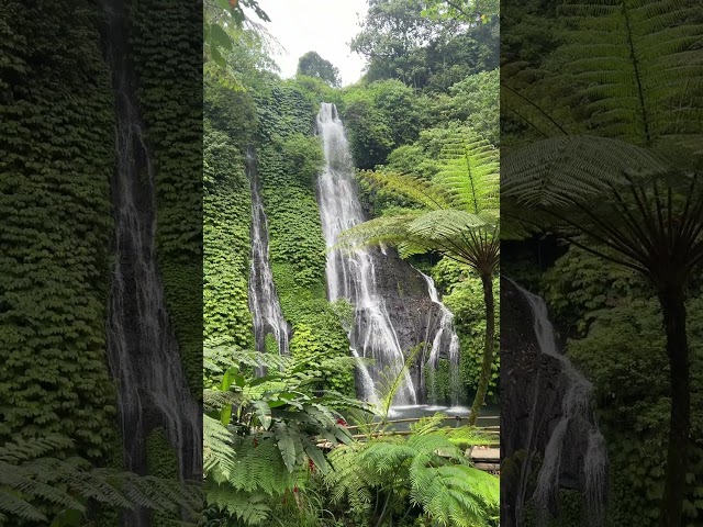 Chasing Waterfalls in Bali 🦋💦 #Shorts