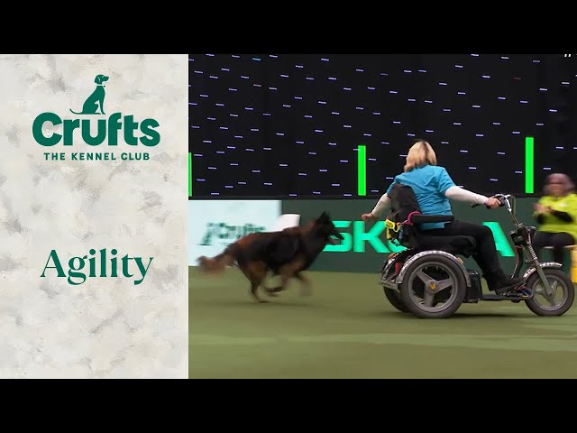 Agility really is a sport for all | Crufts 2024