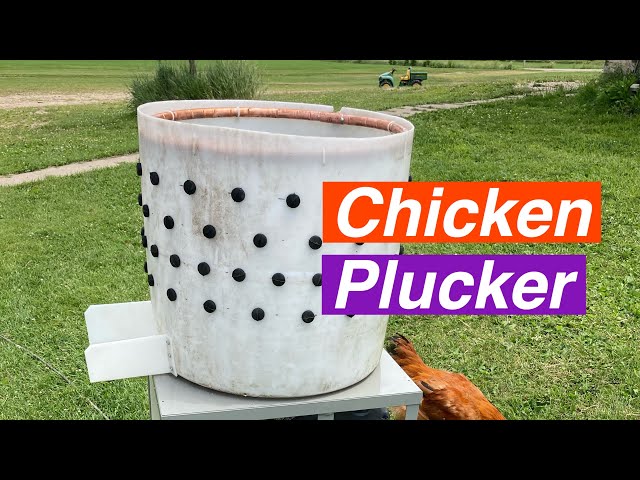 Homemade chicken plucker