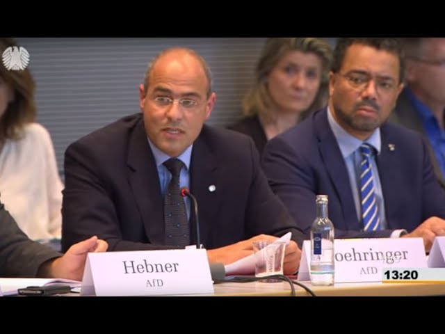 Boehringer fragt Schachtschneider und Beermann - Anhörung im EU-Ausschuss des Bundestages 04.06.2018