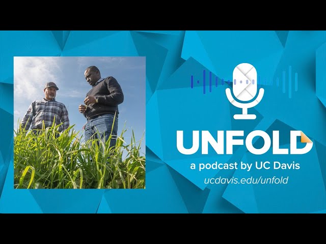 The Water We Eat: Tackling the Groundwater Dilemma | Unfold Podcast