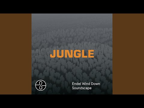 JUNGLE (Endel Wind Down Soundscape)