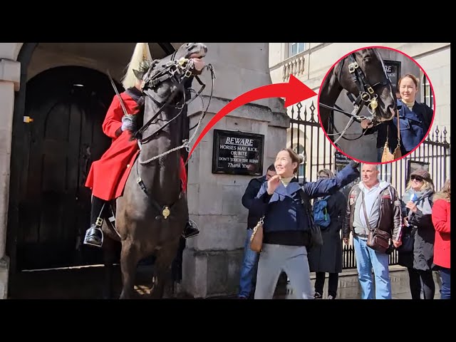 Stupid Tourist PULLS The Reins Twice! Watch How THE KING’S GUARD and Horse REACTS 😡