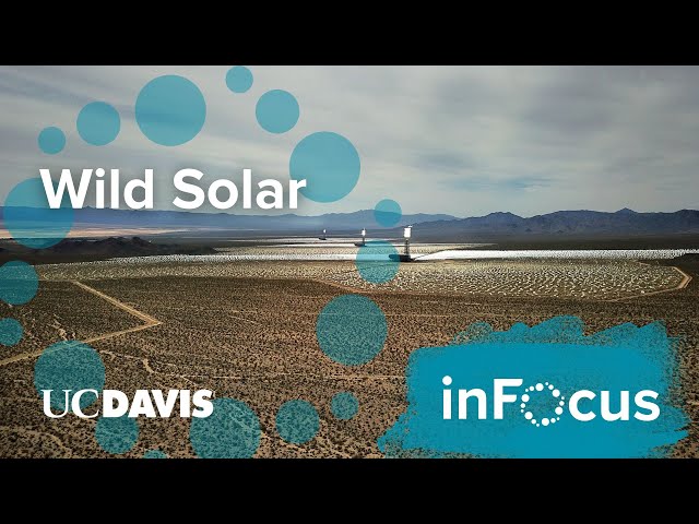 How Solar Energy Impacts the Surrounding Environment