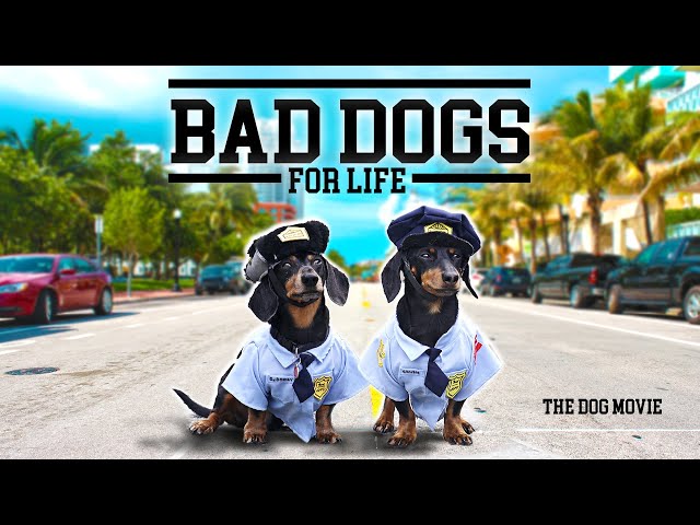 Ep#12: BAD DOGS FOR LIFE - The Wiener Dog Movie