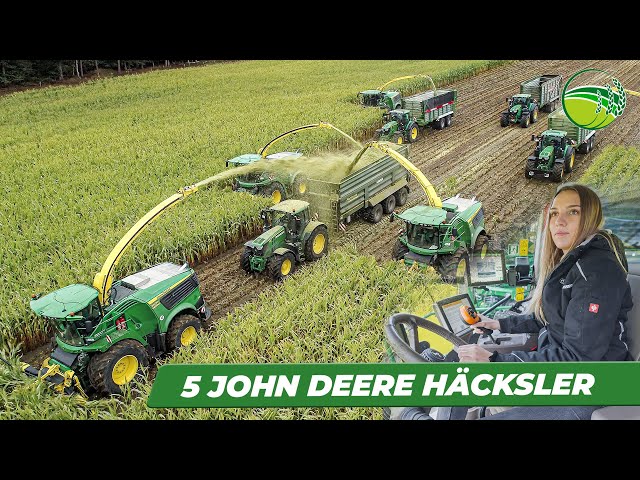 Chopping Maize with 5 JOHN DEERE forage harvester