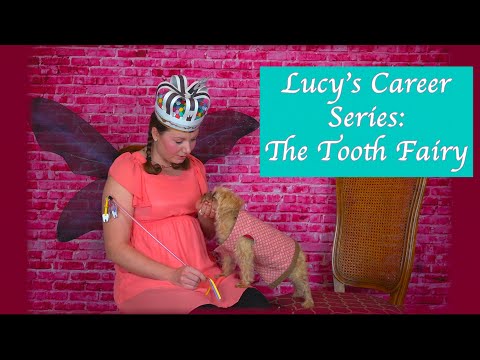Lucy's Career Series