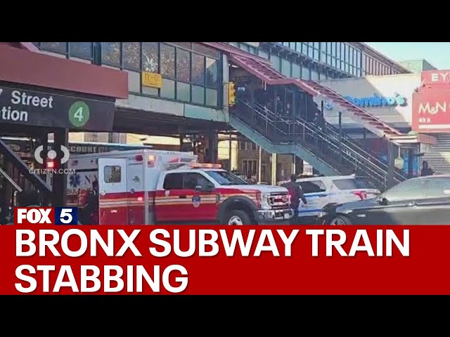 Man stabbed on Bronx subway train