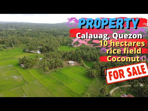 Calauag, Quezon Province For Sale