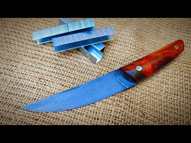 WOOTZ steel from staples for a stapler . Making a Japanese kaiken knife