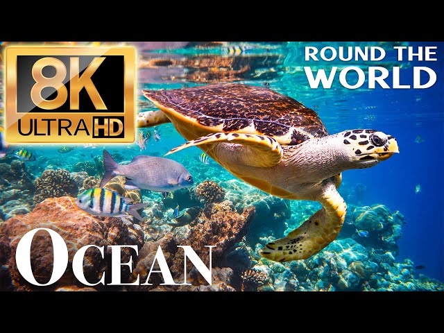 OCEAN 8K - Round The World with TV 8K Ultra HD 60fps - OurPlanet Film