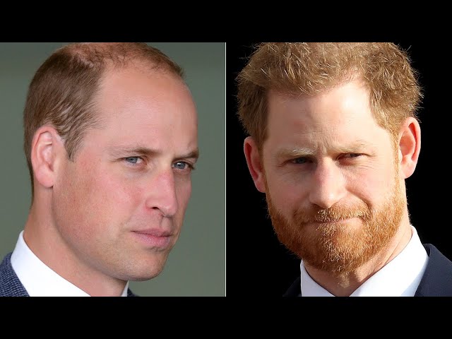 Prince William's Cold Response To Harry's Visit