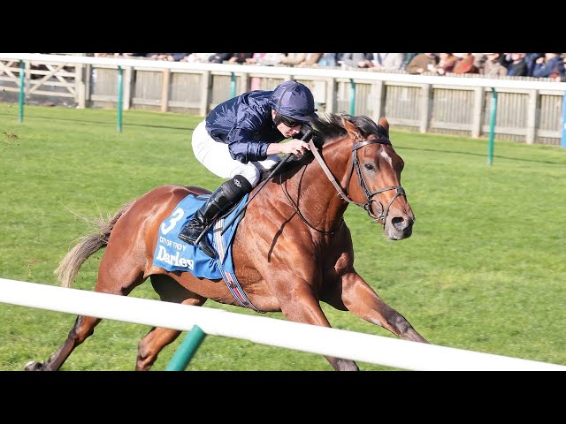 Racing's new superstar? City Of Troy draws comparisons with Frankel in Dewhurst romp