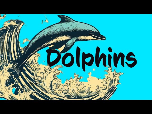 17 Dolphin FACTS to know 🐬 Animals for Kids
