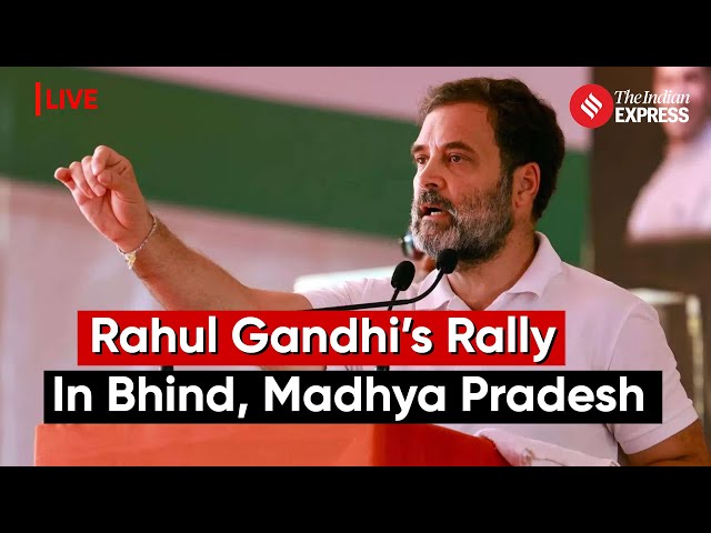 LIVE: Rahul Gandhi Addresses Rally In Bhind, Madhya Pradesh | Lok Sabha Election 2024