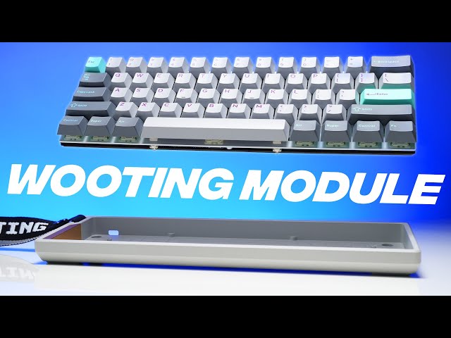 New Wooting 60HE+ *MODULE*, Alumaze Cases, & PC Plate!