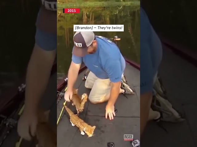 Fisherman Caught Two Kittens Swimming in River #shorts