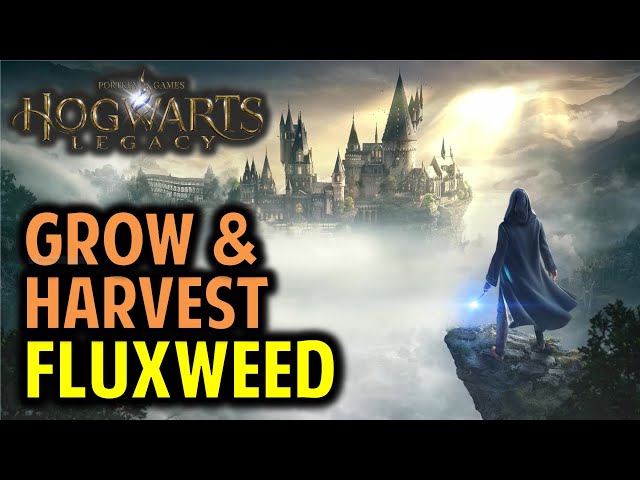 How to Grow and harvest Fluxweed: Professor Garlick’s Assignment 2 | Hogwarts Legacy