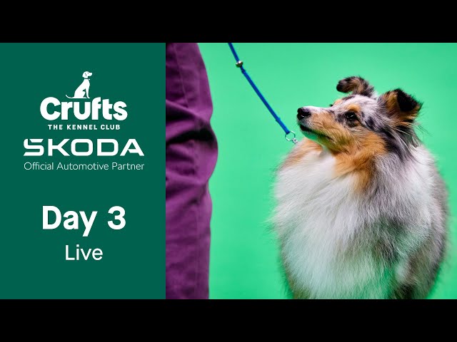 Day 3 LIVE | Crufts 2023