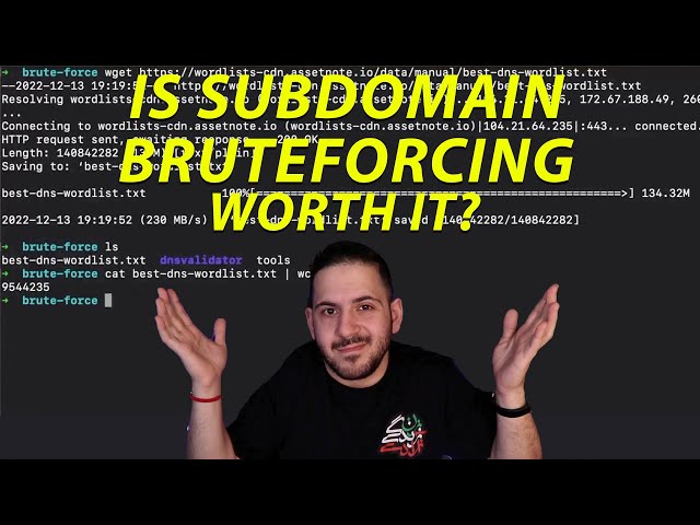 Is Subdomain Bruteforcing Worth It?!