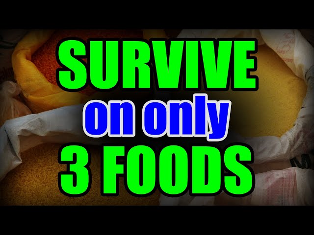 Stockpile ONLY 3 FOODS to SURVIVE – Why this is ALL you NEED