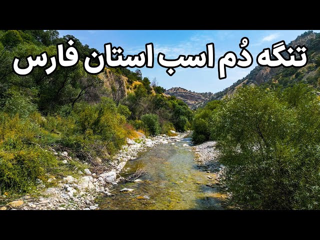 Iran, Fars Province - دو ساعت کوهنوردی تا رسیدیم اینجا