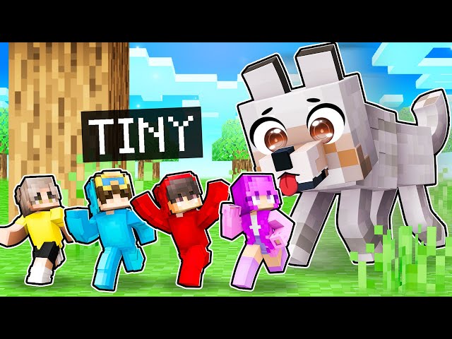 Minecraft But We’re TINY!