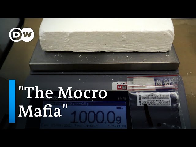 The power of the drugs mafia - Cocaine and the Netherlands | DW Documentary