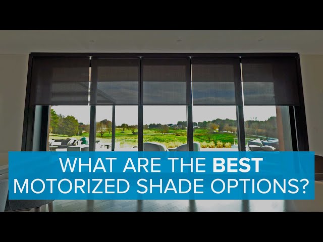 What are the Best Motorized Shade Options?