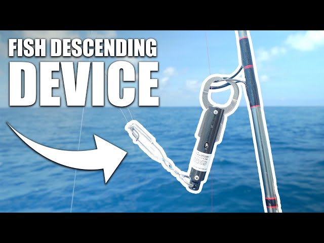 HOW TO USE A FISH DESCENDING DEVICE - Fish release tool