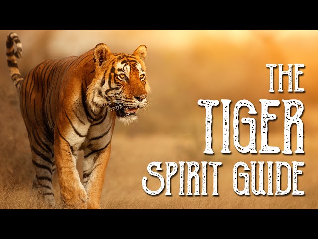 Tiger Spirit Guide - Ask the Spirit Guides Oracle - Totem Animal, Power Animal - Magical Crafting