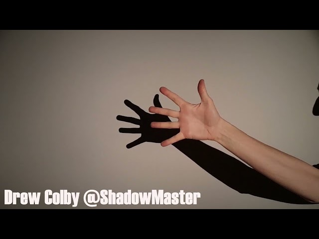 Dog Hand Shadow Tutorial