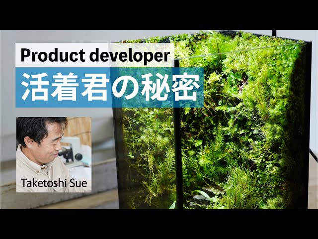The secret of cloth that grows moss! The secret story of "Kacchaku-kun" development (Part 1) # 93