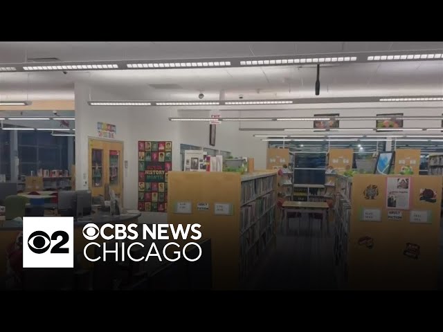 South suburban Chicago library worker charged with theft