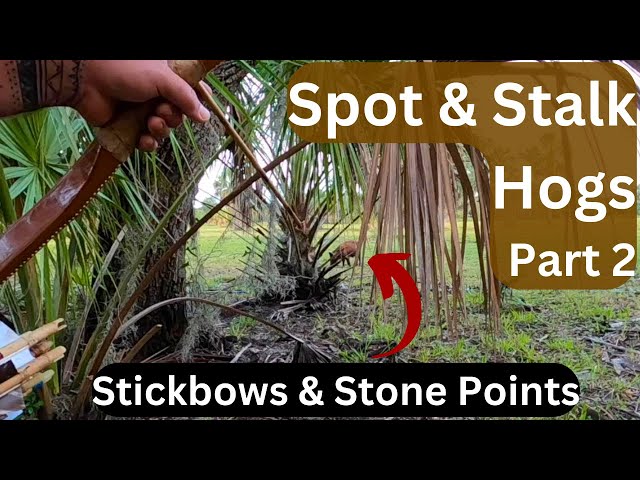 Part 2 of Spot & Stalk Primitive bow hunting for Hogs