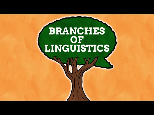 The Many Branches Of Linguistics