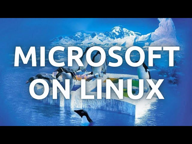 "How to Install and Use Microsoft Software On Linux - Complete Guide"