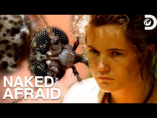 The Worst Bug Encounters | Naked and Afraid | Discovery