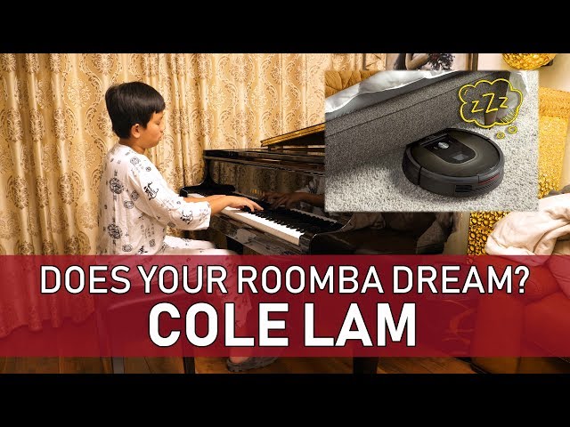 Does Your Roomba Dream? Original Composition Cole Lam 12 Years Old