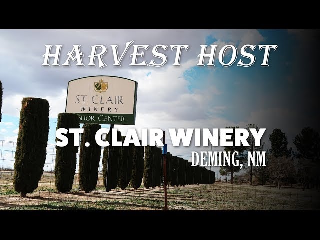 Harvest Hosts Camping at the St Clair Winery