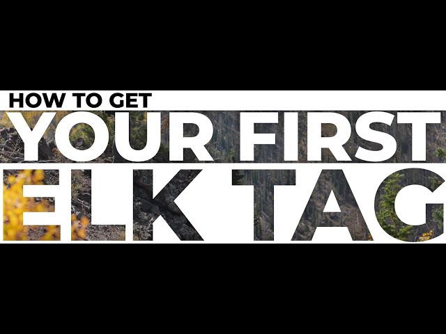 How To Get Your First Elk Tag