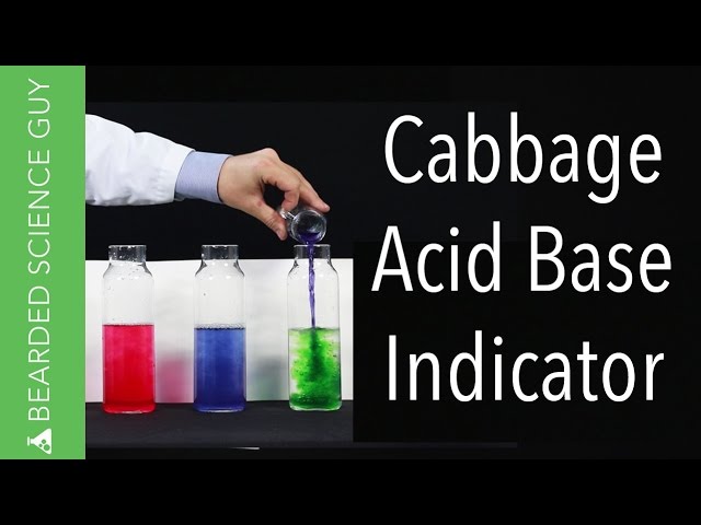 Red Cabbage Juice Acid Base Indicator Experiment (Chemistry)