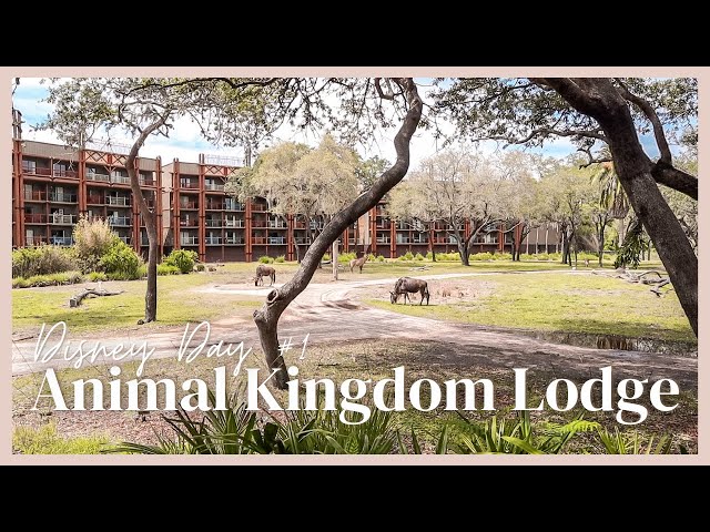 Animal Kingdom Lodge Jambo House Deluxe Studio Room Tour & Working Out at Our Disney Resort