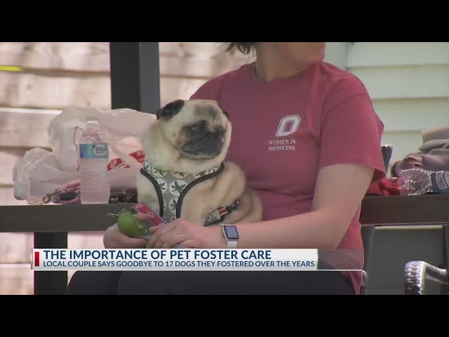 Franklin County dog fosters throw party, raise awareness