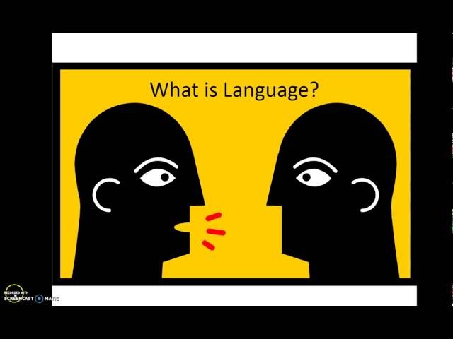 #2 What is language