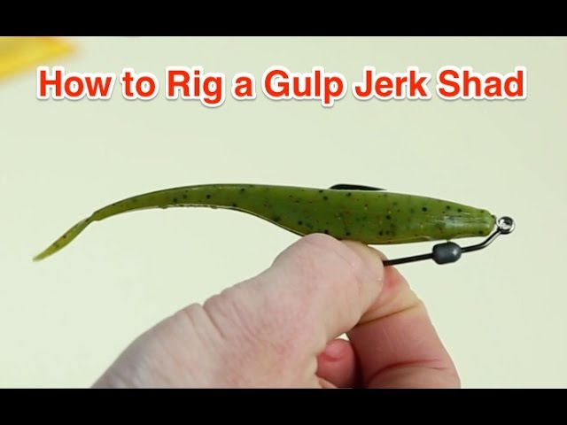 How to Rig a Berkley Gulp Jerk Shad for Catching Snook, Redfish, and Trout