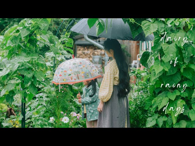#115 Rainy summer days at Home | Veggies & Roses, Brioche blueberries, Katsu curry | Slow life Vlog