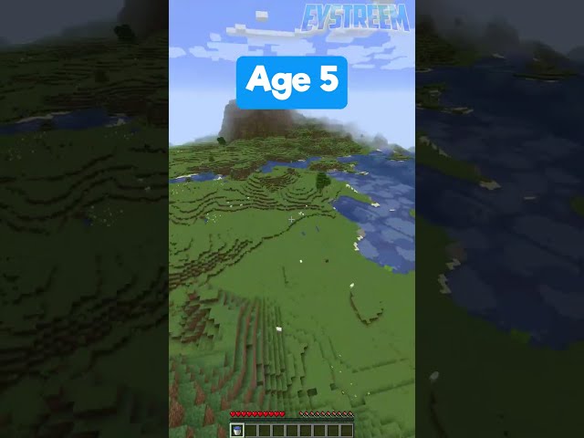 Minecraft MLG at Different Ages (World's Smallest Violin)