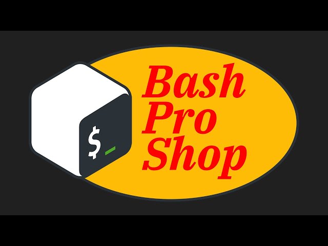 Become a bash scripting pro - full course